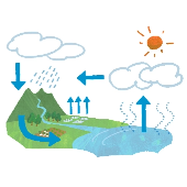 00046606ダンシングペンギン